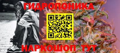 ГАЛЛЮЦИНОГЕННЫЕ ГРИБЫ Ирбит