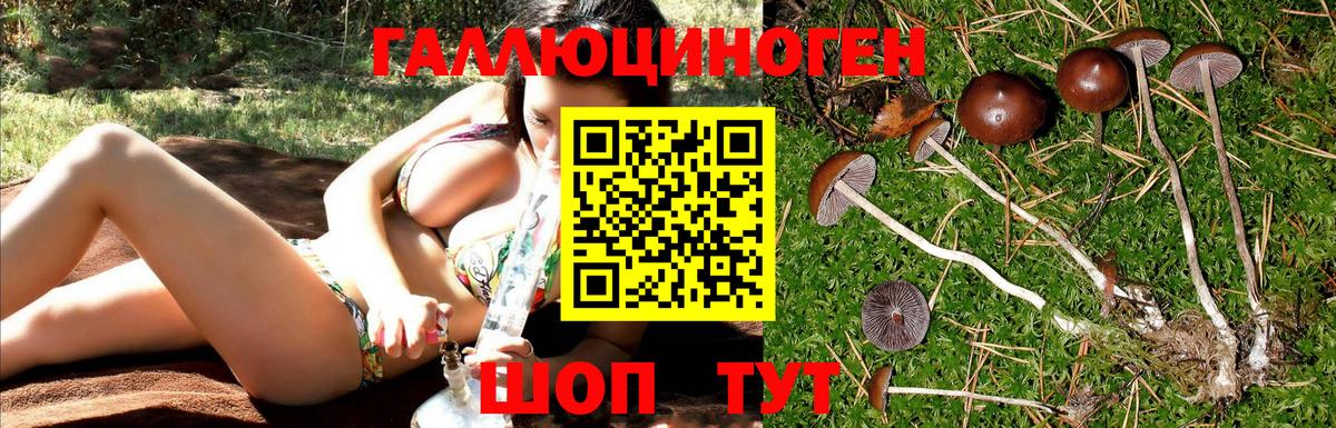 Галлюциногенные грибы ЛСД  Вход с VPN  Оренбург  Галлюциногенные грибы Cubensis 